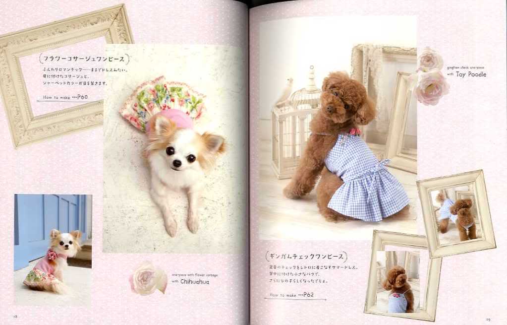 Nice and Cute Dog Clothes